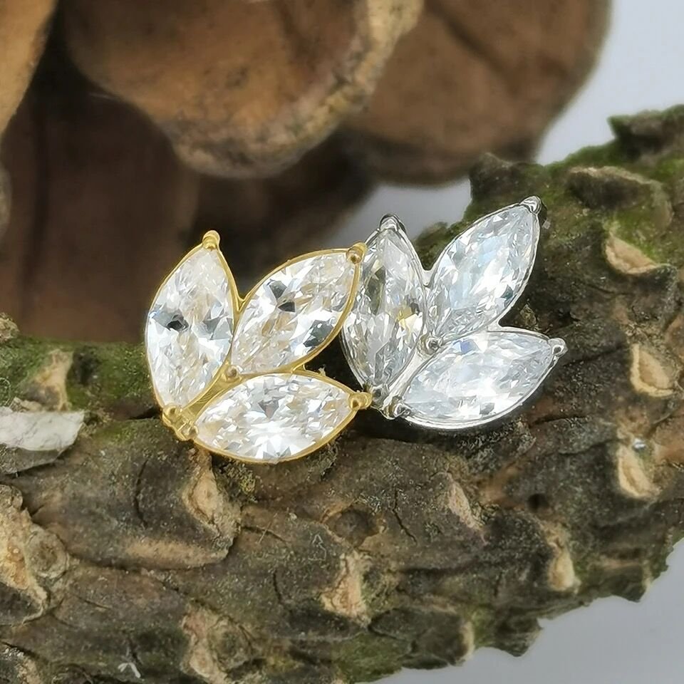 Titanyum Piercing
