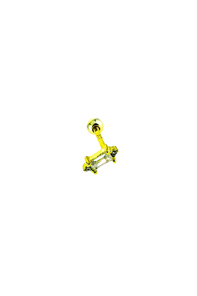 İthal Gümüş Piercing