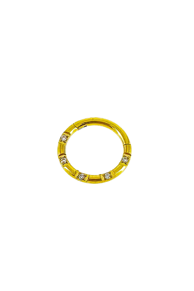 İthal Halka Piercing