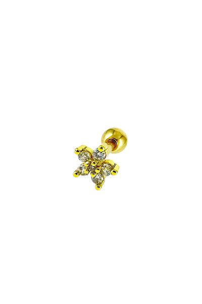 Çelik Piercing
