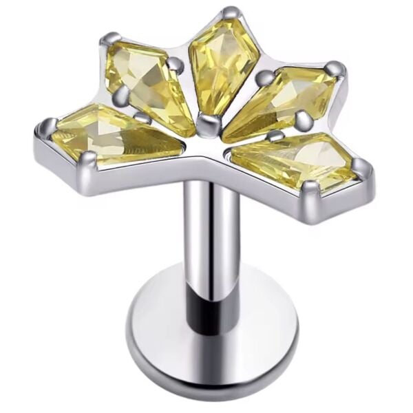 Titanyum Piercing
