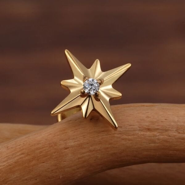 Titanyum Piercing
