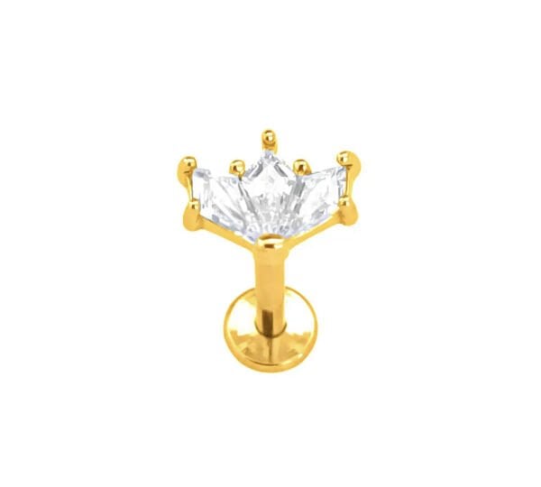 Titanyum Piercing