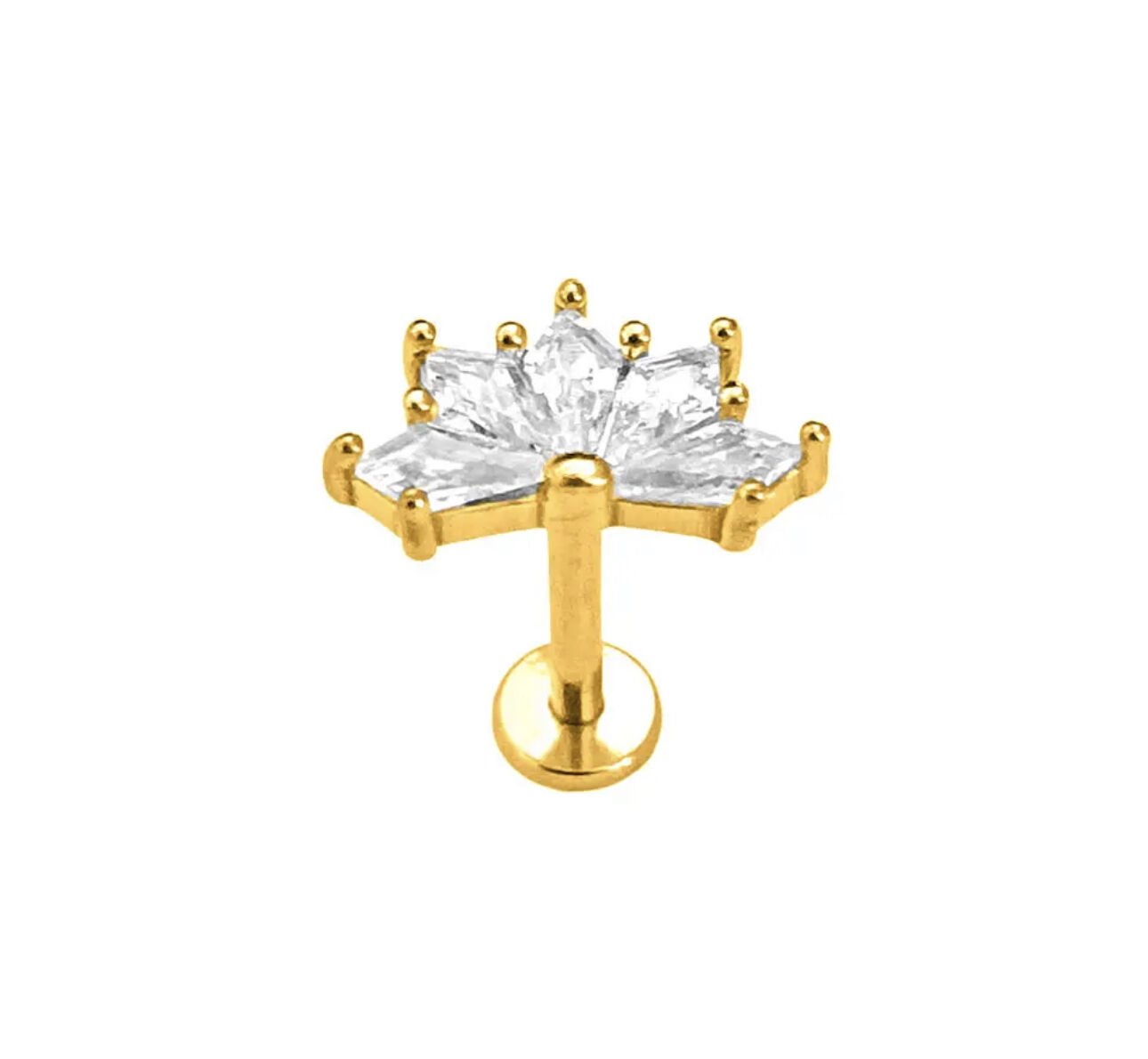 Titanyum Piercing