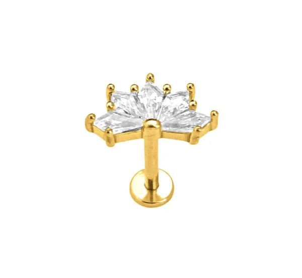 Titanyum Piercing