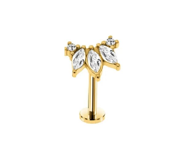 Titanyum Piercing